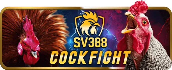 Cá cược thể thao tại PK88 với các môn bóng đá, bóng rổ, eSports